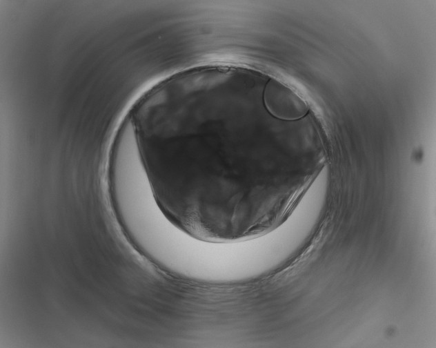 X0000116871331201001121253