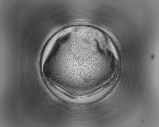 X0000116871333201001121253