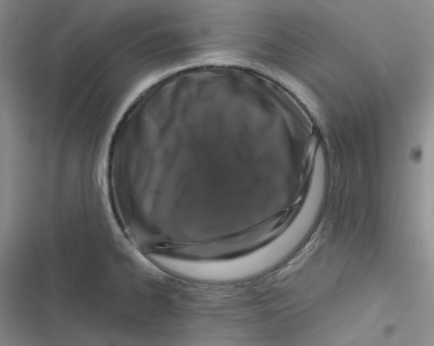 X0000116871334201001121253