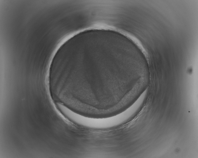 X0000116871335201001121253