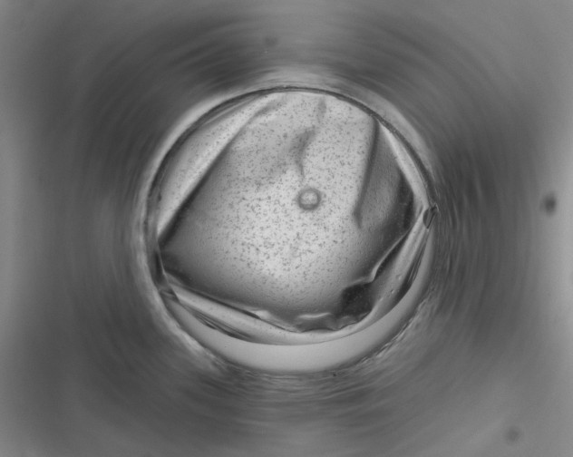 X0000116871339201001121254