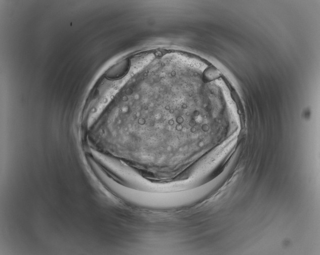 X0000116871341201001121254