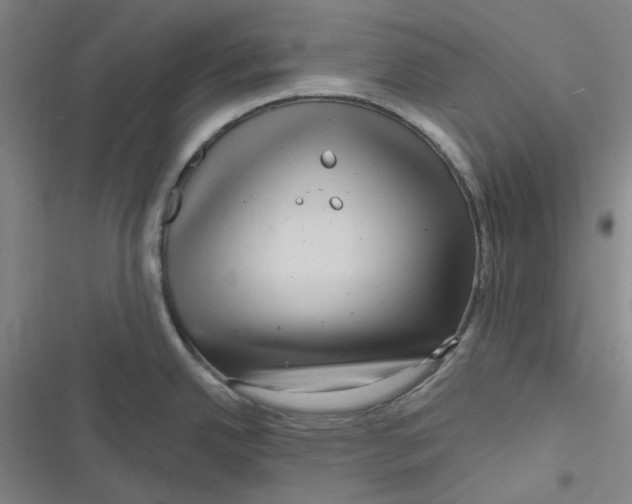 X0000116871342201001121254