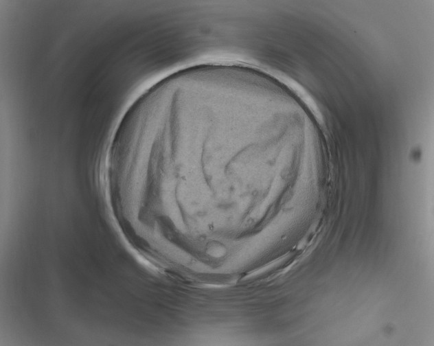 X0000116871343201001121254