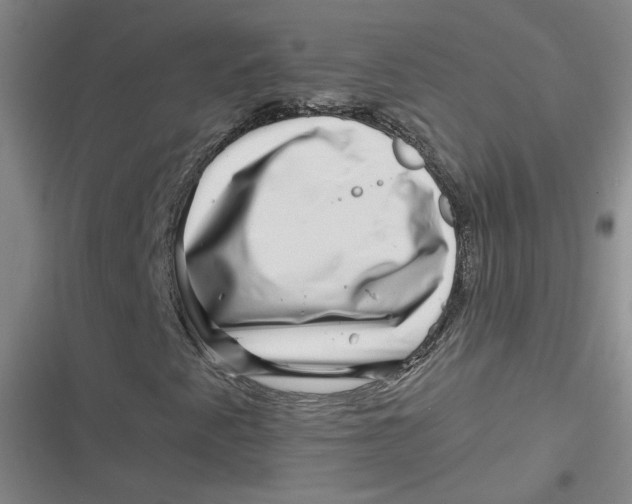 X0000116871345201001121253