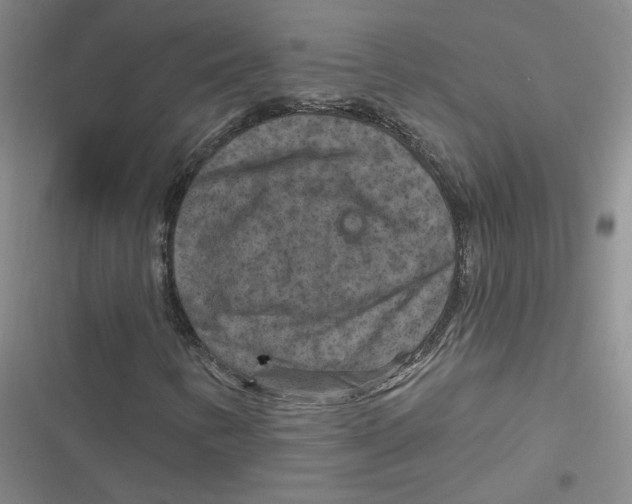 X0000116871346201001121253