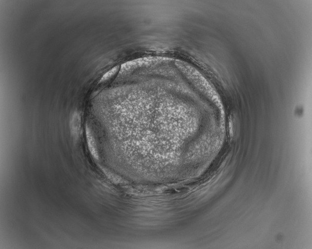 X0000116871347201001121253