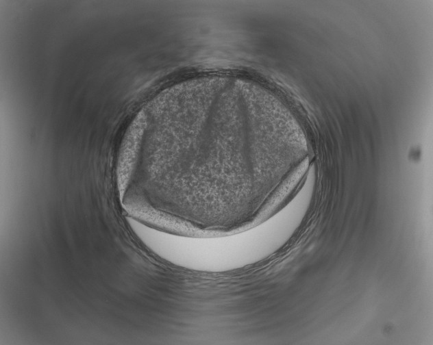 X0000116871348201001121253