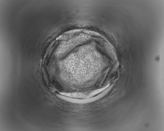 X0000116871349201001121253