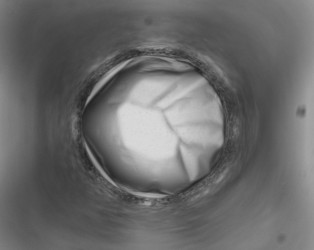 X0000116871350201001121253