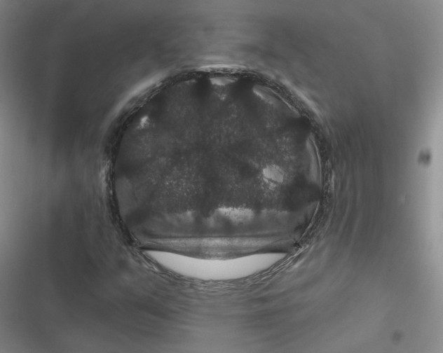 X0000116871351201001121253