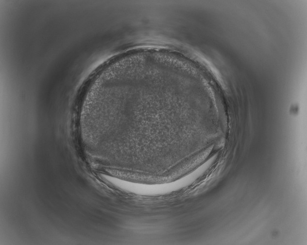 X0000116871352201001121253