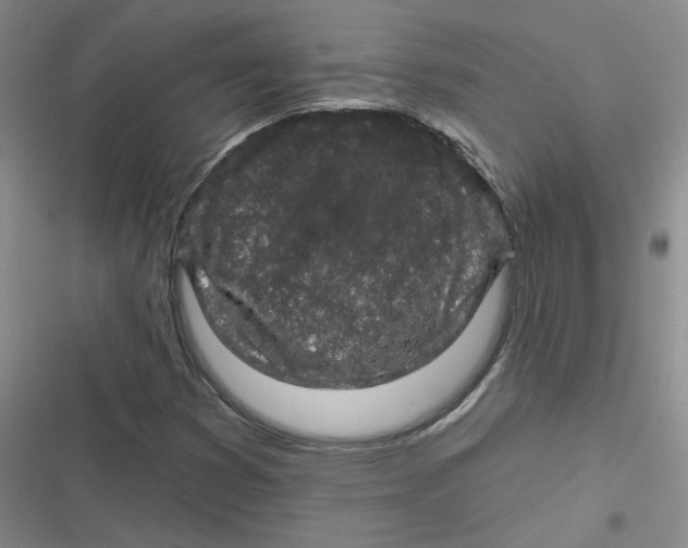 X0000116871353201001121253