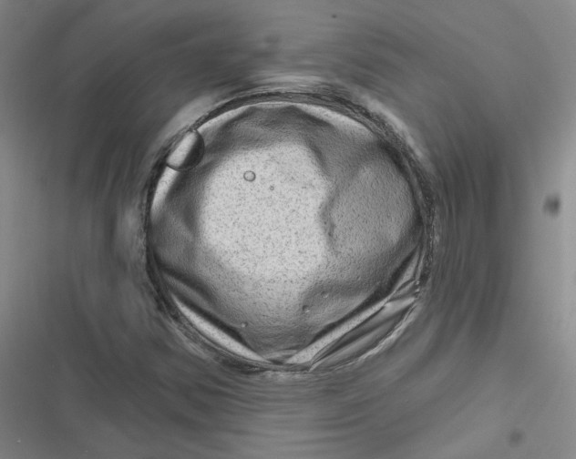 X0000116871354201001121253