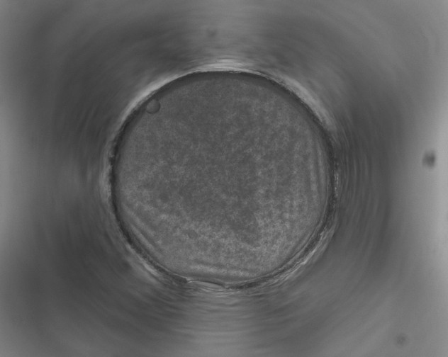 X0000116871356201001121253