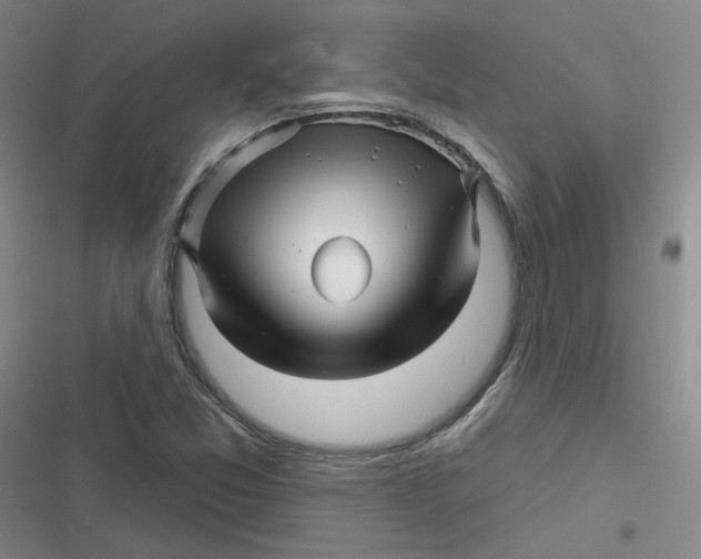 X0000116871357201001121253