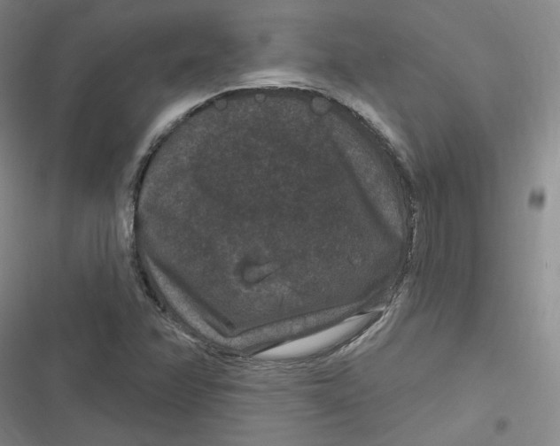 X0000116871358201001121253