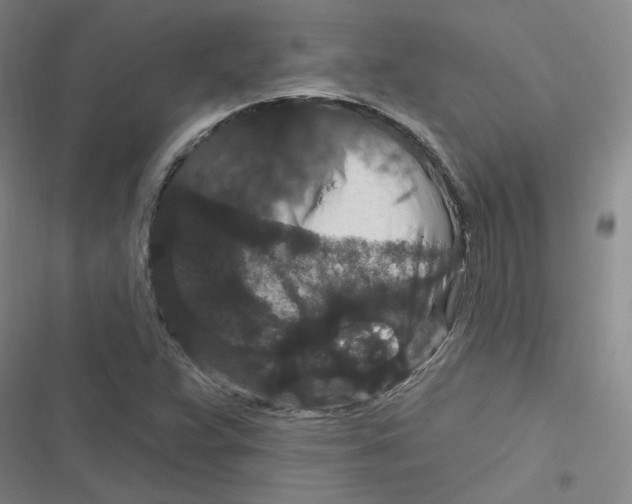 X0000116871359201001121253