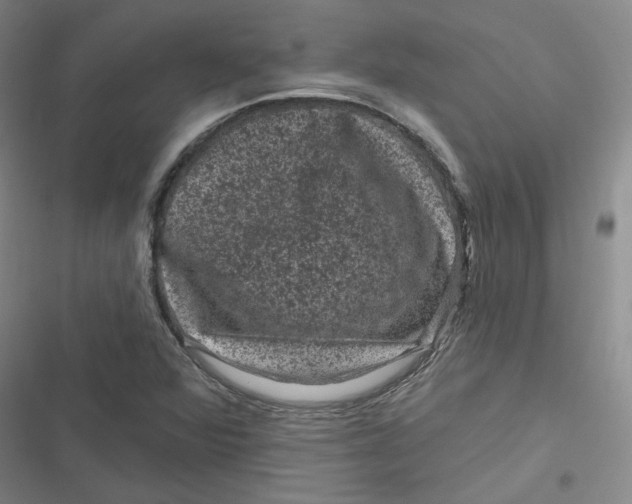 X0000116871360201001121253