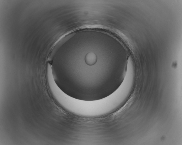 X0000116871361201001121253