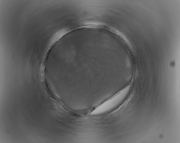 X0000116871362201001121253