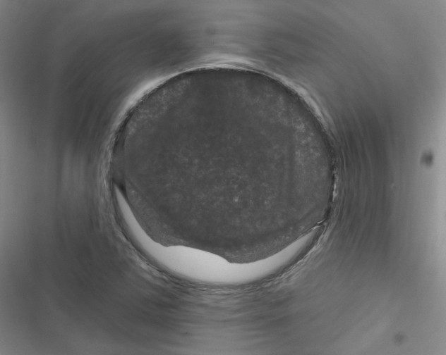 X0000116871363201001121253