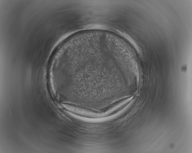 X0000116871364201001121253