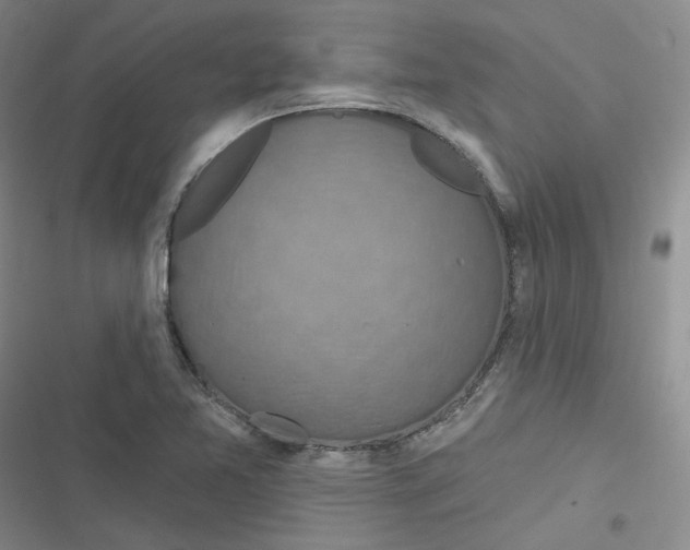 X0000116871365201001121253