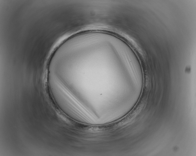 X0000116871366201001121253