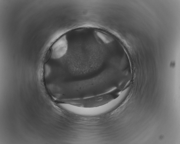 X0000116871367201001121253