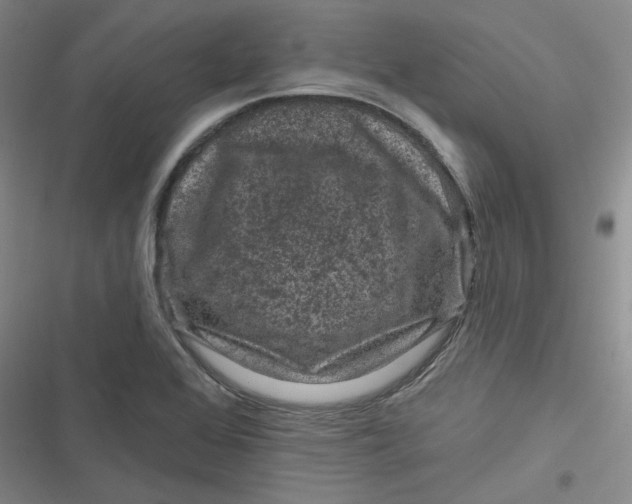 X0000116871368201001121253