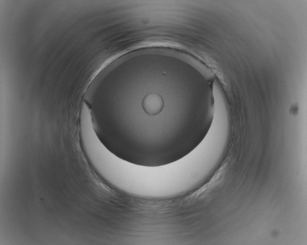 X0000116871369201001121253