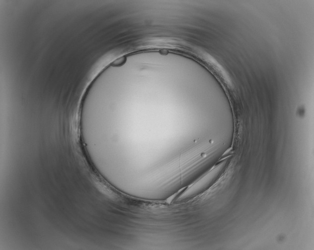 X0000116871370201001121253