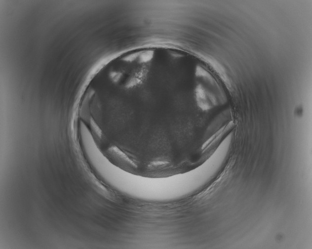 X0000116871371201001121253