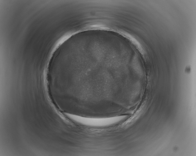 X0000116871373201001121253