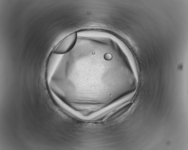 X0000116871374201001121253