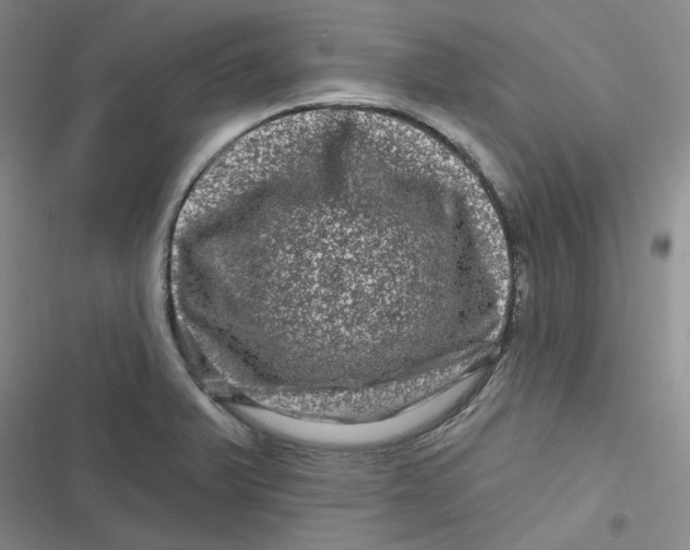 X0000116871375201001121253