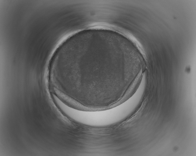 X0000116871376201001121253