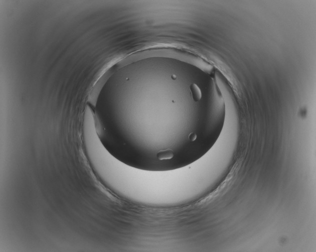 X0000116871377201001121253