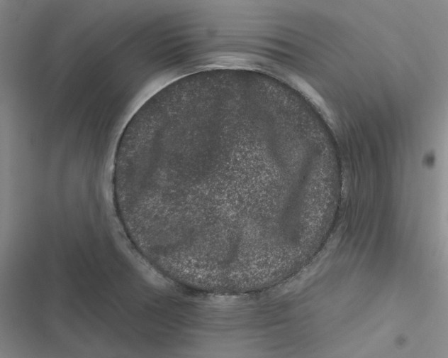 X0000116871378201001121253