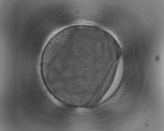 X0000116871379201001121253