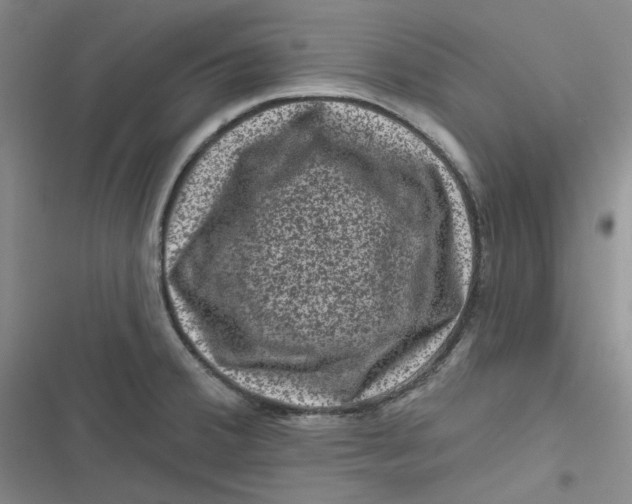 X0000116871380201001121252