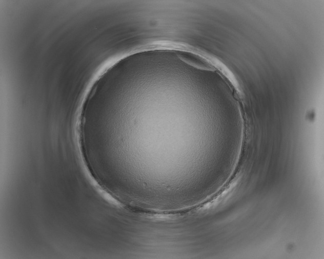 X0000116871381201001121252