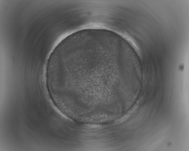 X0000116871382201001121252