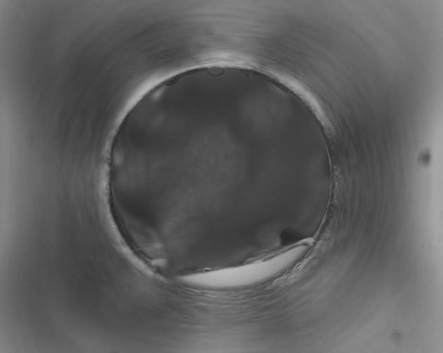 X0000116871383201001121252