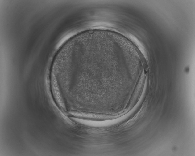 X0000116871384201001121252