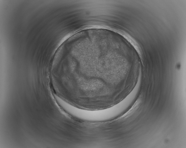 X0000116871385201001121252