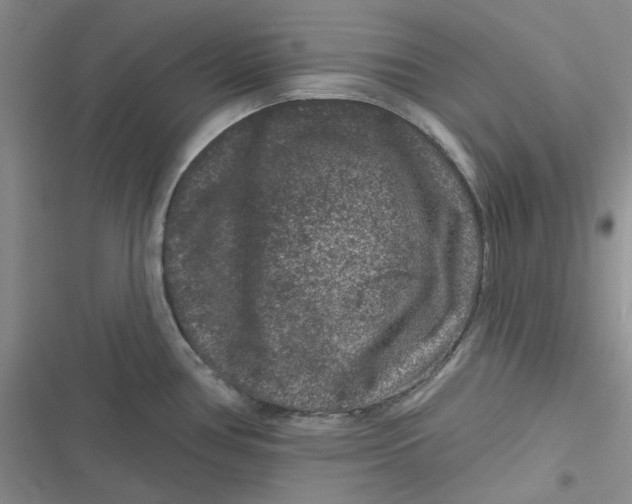 X0000116871386201001121252