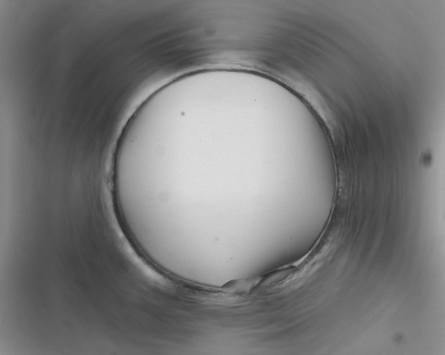 X0000116871387201001121252