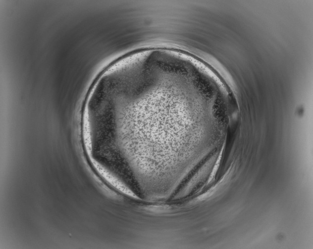 X0000116871388201001121252